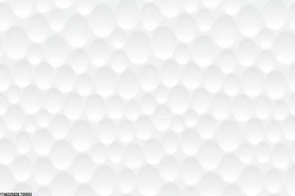 山东体育学院培训班课程安排：提升体育专业技能